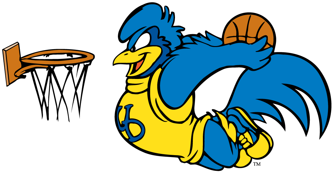 delaware blue hens 1993-pres mascot Logo v7 iron on transfers for fabric